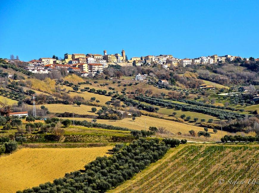 hotelpalacetortoreto en holidays-by-the-sea-in-abruzzo 019